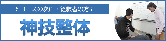 神技整体